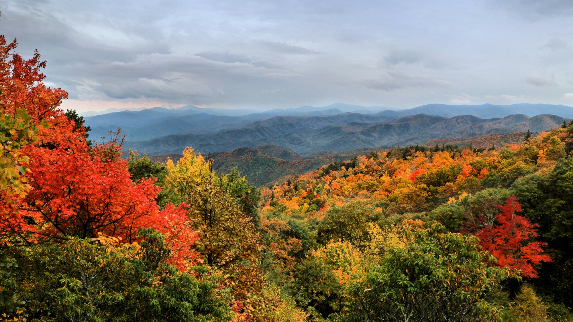 Blue Ridge Mountains autumn foliage in North Carolina — FDM Enterprises MRI and CT scanner service coverage across North Carolina